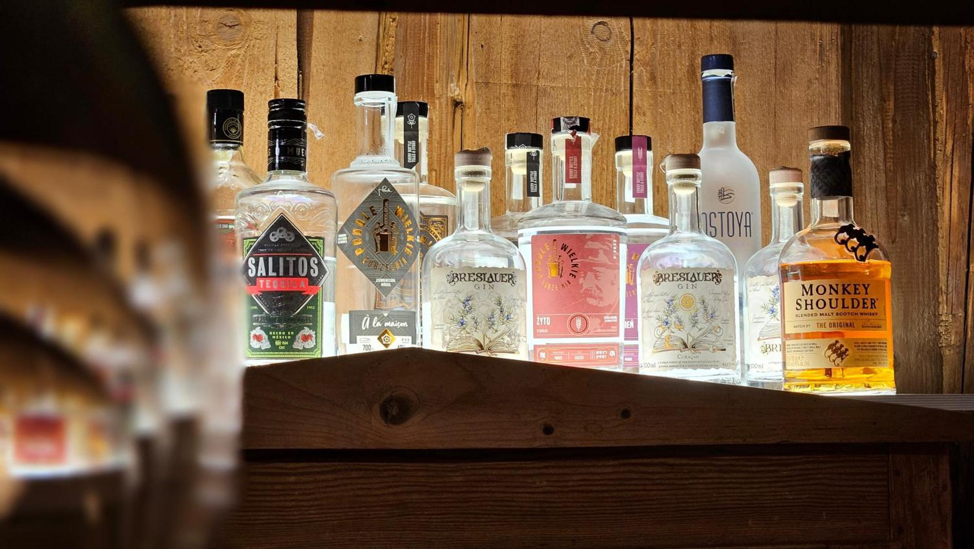 普罗蒂亚酒店 博莱斯瓦维茨 外观 照片